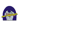 Logo White